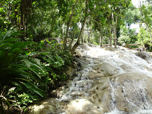 Dunn's River Falls & Rainforest Jamaica 2013