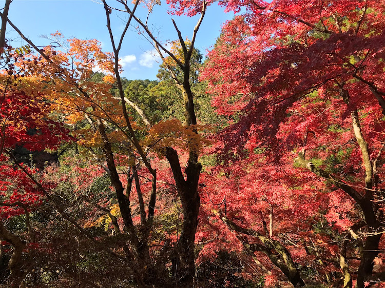 の投稿画像3枚目