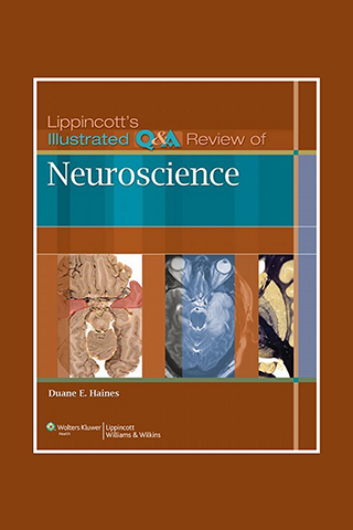 Lippincott Review Neuroscience