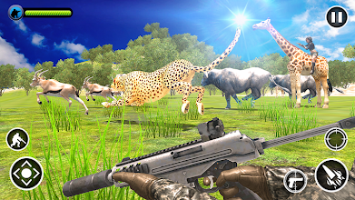 Animal Safari Hunter التطبيقات على Google Play