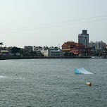 Lotus Pond in Kaohsiung, Taiwan in Kaohsiung, Taiwan 