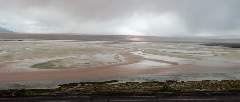 LAGUNAS DE COLORES:RESERVA NACIONAL DE FAUNA ANDINA EDUARDO AVAROA. BOLIVIA - CHILE: Atacama ( con extensión a Uyuni) y Carretera Austral (33)