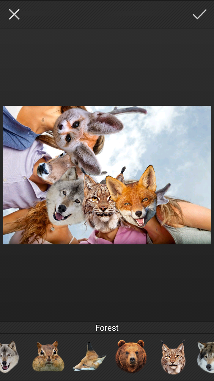 Stickers: Forest Animals Screen 2