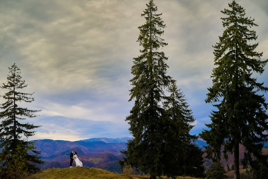 Fotografo di matrimoni Marius Marcoci (mariusmarcoci). Foto del 21 novembre 2023