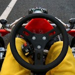 the handling wheel of a maricar in Tokyo, Japan 