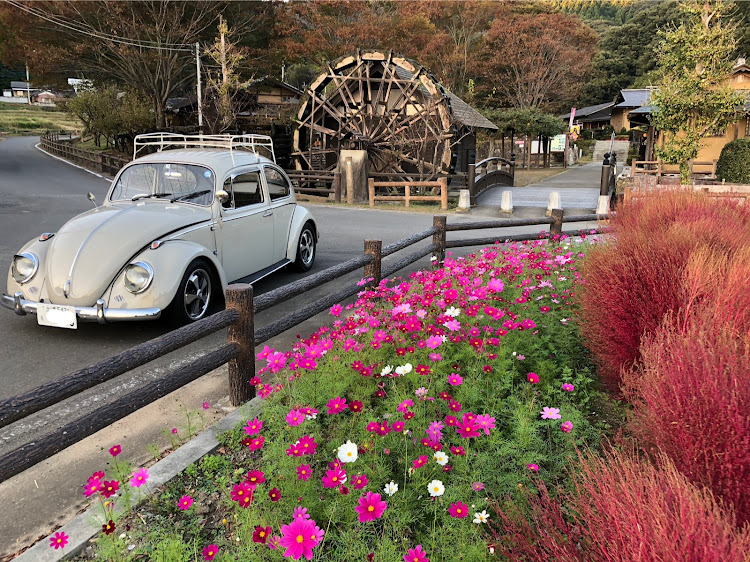 タイプⅠ　ビートルの2020ベストショット・カレンダーに載ってみたい・10月エントリーに関するカスタム事例の投稿画像1枚目