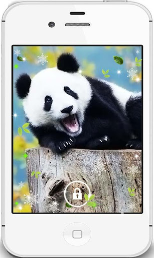 Funny Panda live wallpaper