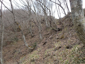 登りになる