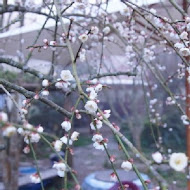 石水坊花園咖啡