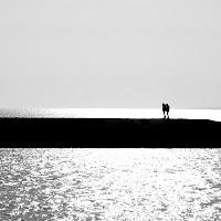 A passeggio sul mare... di @piarc59