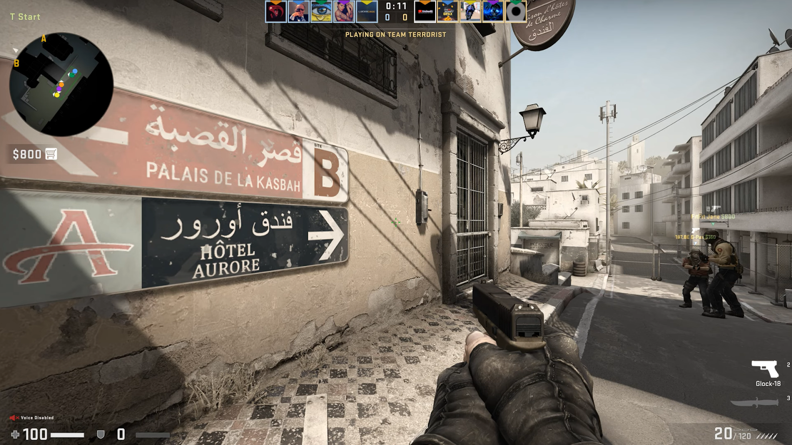 playing on team terrorist cs:go