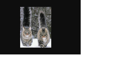 Clap For Cat screenshot 2