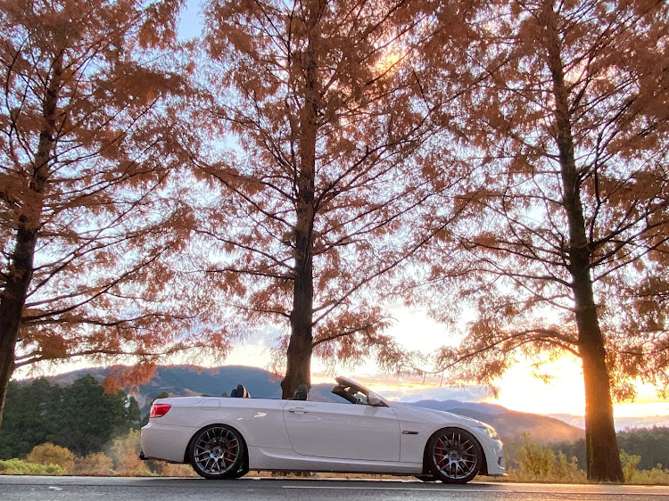 3シリーズ カブリオレの335i cabriolet・BMW3シリーズ・E93・メタセコイア並木・紅葉に関するカスタム事例の投稿画像2枚目