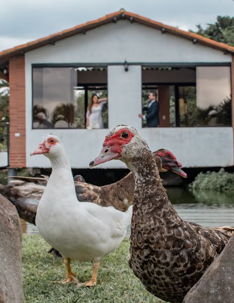 Fotógrafo de casamento Hermes Albert (hermesalbert). Foto de 19 de dezembro 2022