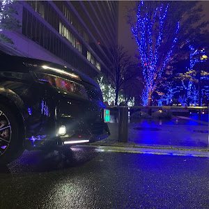 ヴォクシー ZRR80W