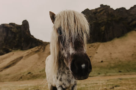 Pulmafotograaf Denis Scherbakov (redden). Foto tehtud 10 detsember 2018