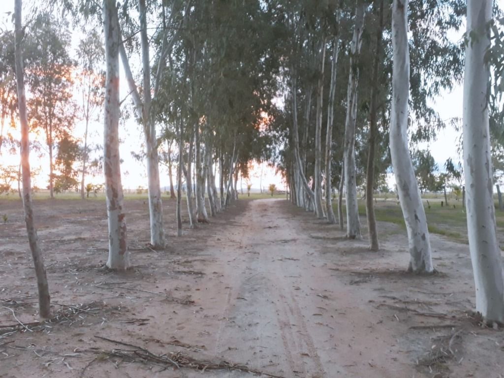 Sítio na região do Bom Intento com infraestrutura pronta para morar.