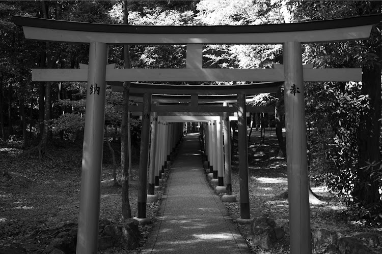 ハリアーのハリアー60・ハリアーgr・橿原神宮・紅葉ドライブ・11月もよろしくお願いしますに関するカスタム事例の投稿画像3枚目