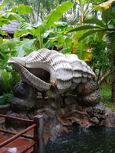 Shell Fountain