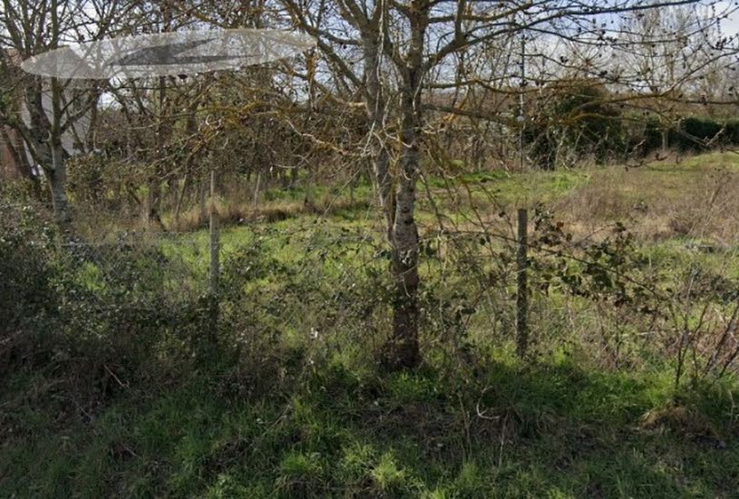  Vente Terrain à bâtir - 520m² à Merville (31330) 