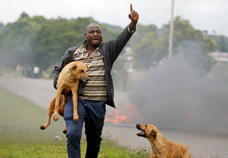 A protester gestures as he holds a dog at a burning barricade near Harare, Zimbabwe, January 15 2019. Picture: REUTERS/PHILIMON BULAWAYO