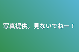 写真提供。見ないでねー！