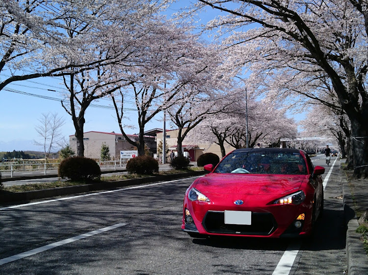 86の#86・#桜・本田技術研究所に関するカスタム事例の投稿画像1枚目