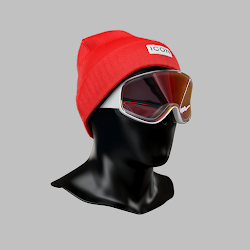 Incognito #4839