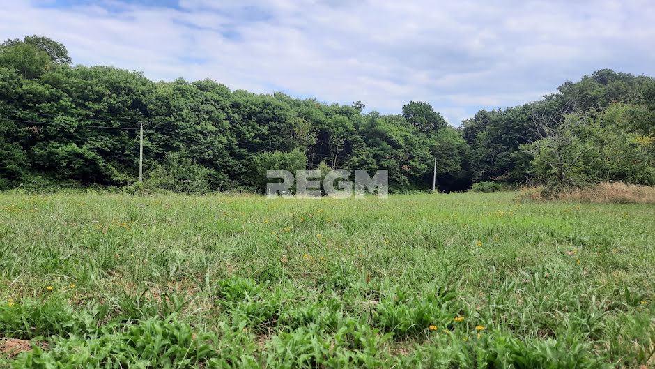 Vente terrain  5000 m² à Pressignac-Vicq (24150), 27 500 €