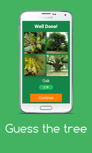 Screenshot Guess the tree - Tree species 