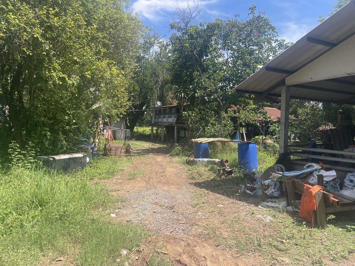 Image 12