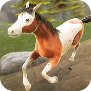 Wild Horses Race Field 1.6.0 Icon