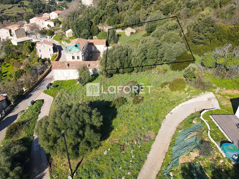 Vente terrain  1571 m² à Pila-Canale (20123), 96 000 €