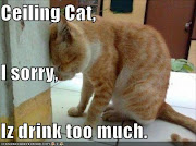 A Lolcat picture posted on Icanhascheeseburger.com