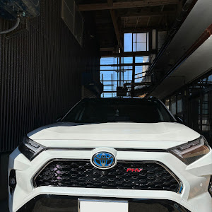 RAV4 AXAP54