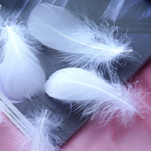 Title 1, Macaron Color Feather DIY Decoration Cat Teaser...