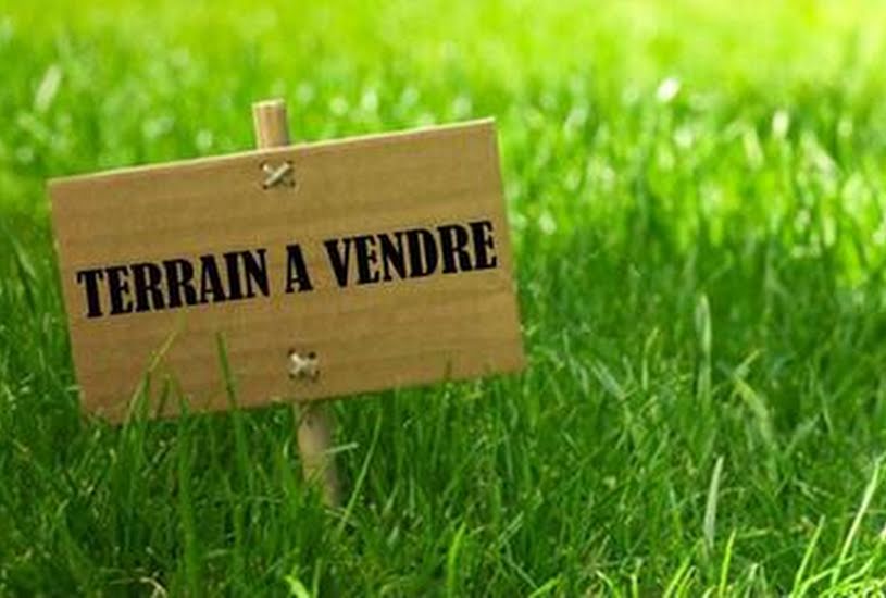  Vente Terrain à bâtir - à Martinet (85150) 