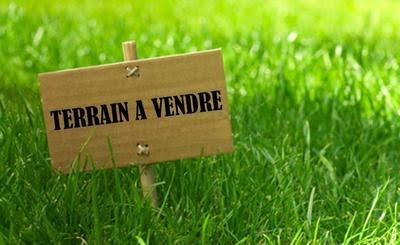 Vente terrain  433 m² à Martinet (85150), 58 100 €