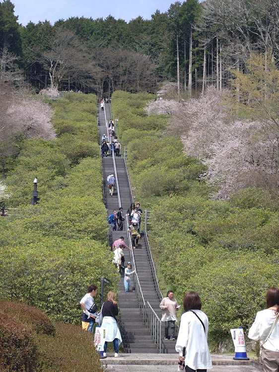 の投稿画像7枚目