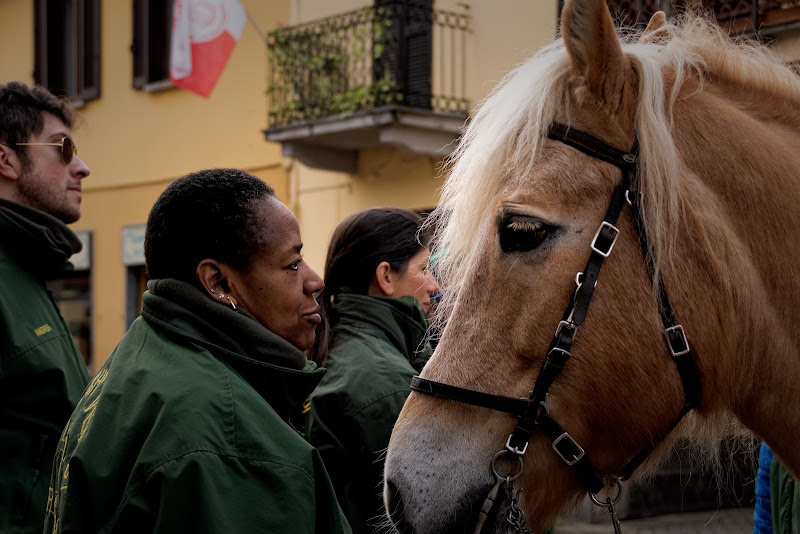 Basta uno sguardo per capirci di Concetta Caracciolo