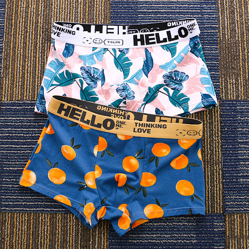Title 5, Cotton Boxers Loose and Comfortable Underpants ...