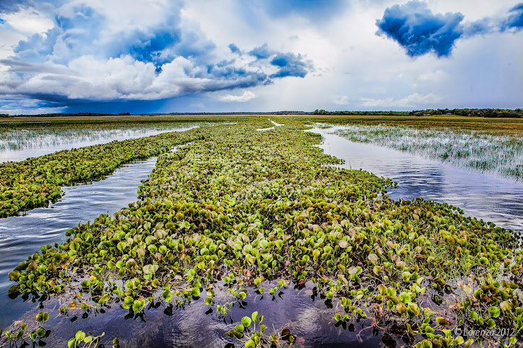 A scene from Macapá, Brazil, one of the stops on a Seabourn Quest cruise on the Amazon.