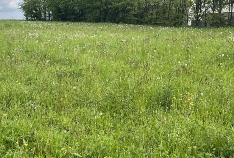  Vente Terrain à bâtir - 497m² à Celles-sur-Belle (79370) 