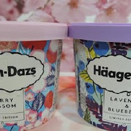 Häagen-Dazs 哈根達斯