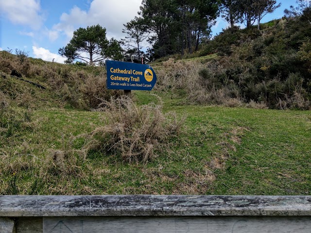 Cathedral Cove via Lees Road