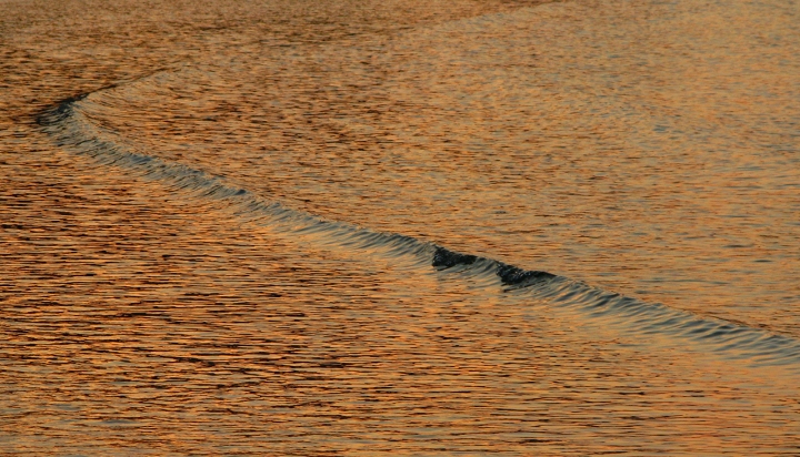 Acqua e tramonto di FrancescoVenturelli