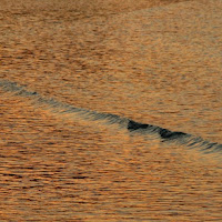 Acqua e tramonto di 