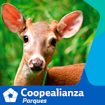 Coopealianza Parques Apk