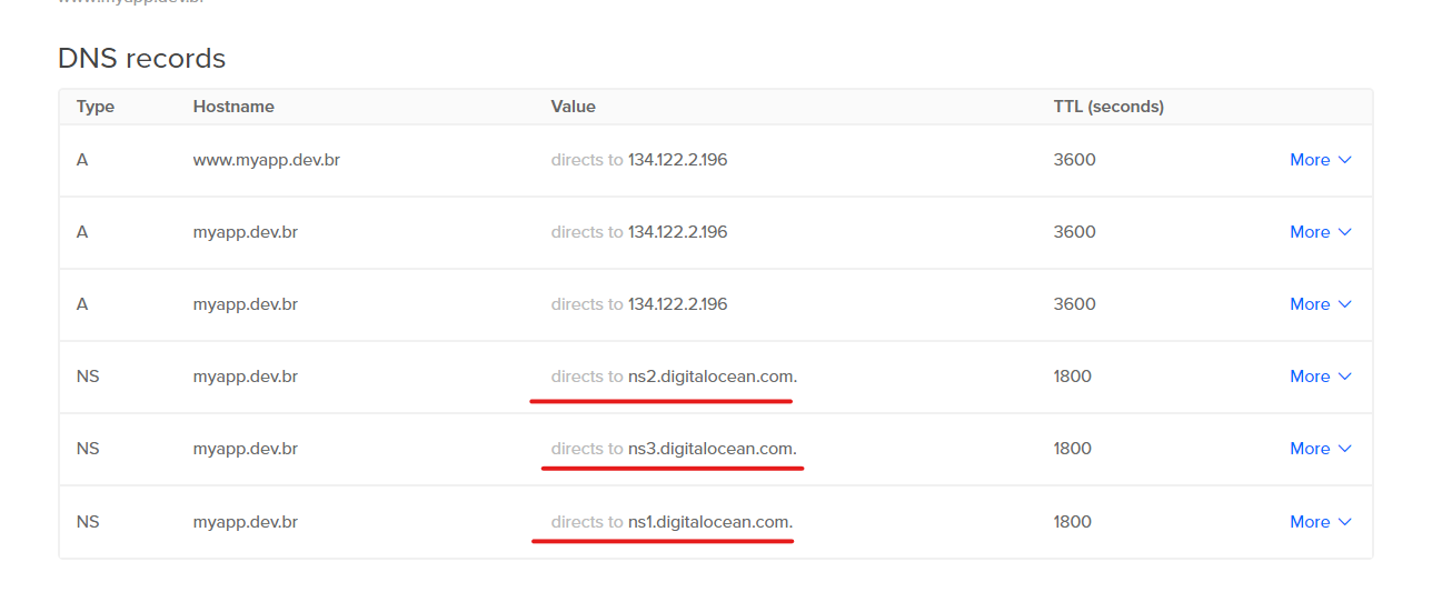Registros DNS em nosso projeto