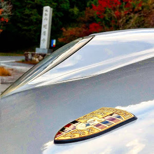987ケイマンS